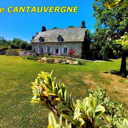 Villa Gite Cantauvergne Vebret Exterior foto