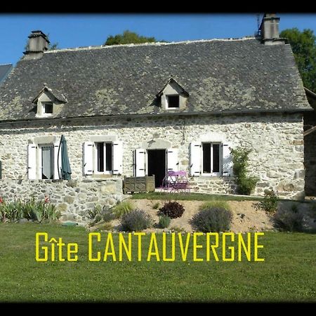 Villa Gite Cantauvergne Vebret Exterior foto