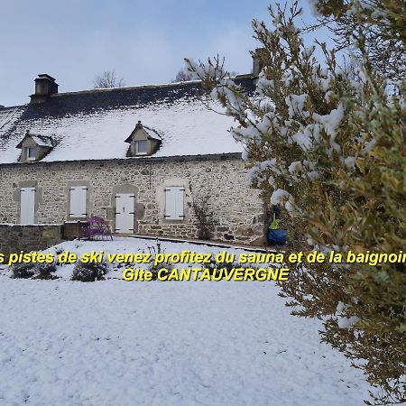 Villa Gite Cantauvergne Vebret Exterior foto