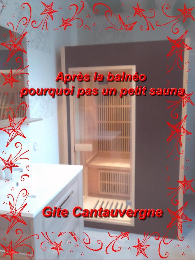 Villa Gite Cantauvergne Vebret Exterior foto