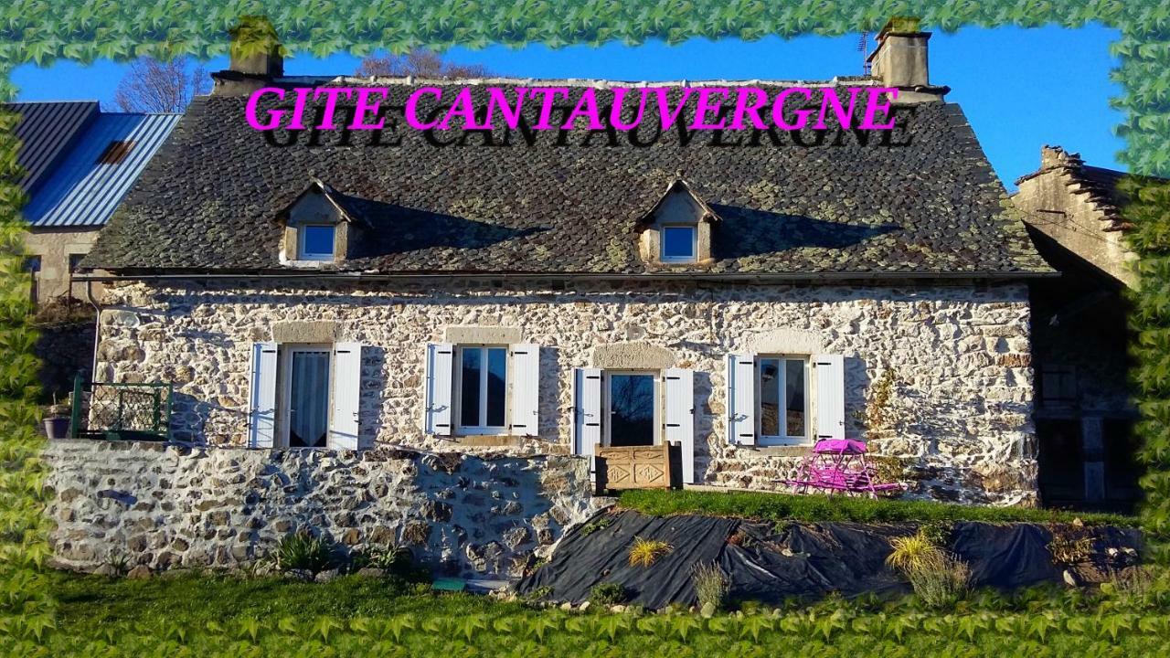 Villa Gite Cantauvergne Vebret Exterior foto